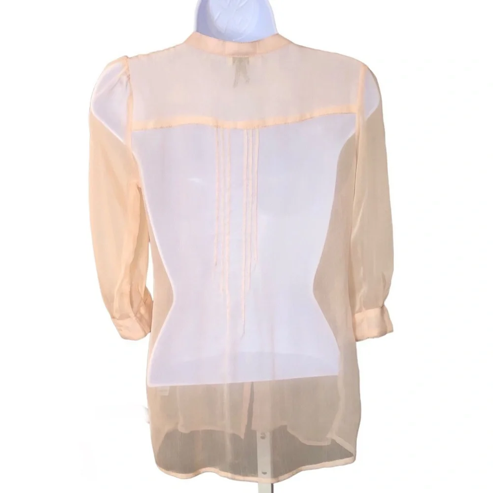 Blush Gauzy Chiffon Sheer Tunic Blouse with Buttons and Pleats - Picture 4 of 16
